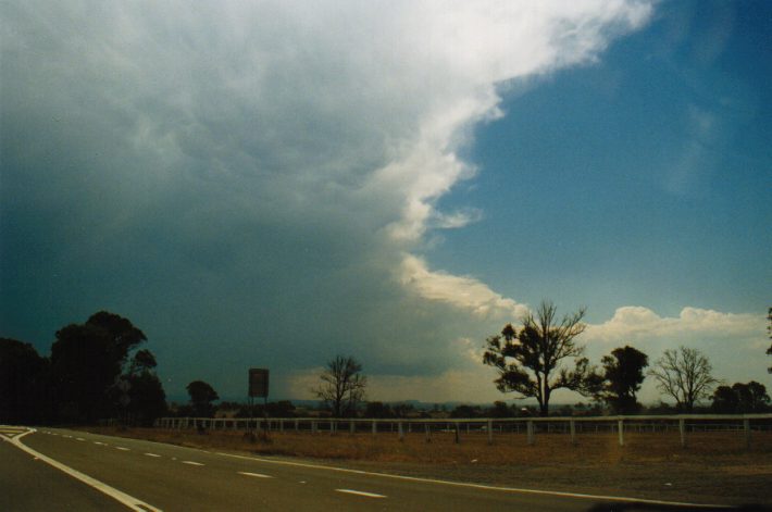 anvil thunderstorm_anvils : Badgerys Creek, NSW   19 January 1999