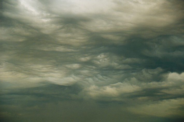 altocumulus altocumulus_cloud : Rooty Hill, NSW   19 January 1999