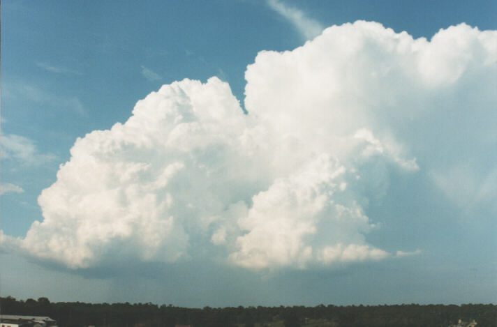 thunderstorm cumulonimbus_incus : Schofields, NSW   29 January 1999
