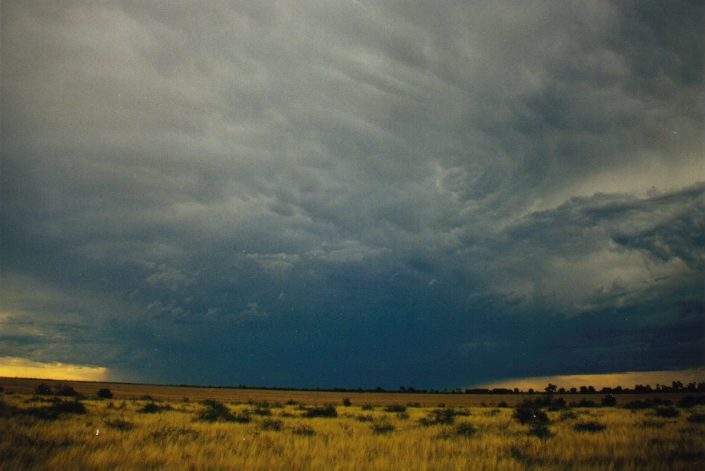 anvil thunderstorm_anvils : S of Moree, NSW   30 January 1999