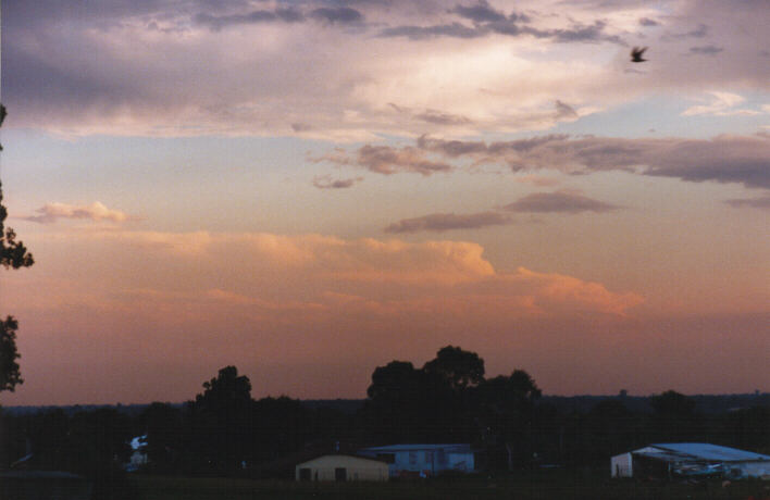 altocumulus altocumulus_cloud : Riverstone, NSW   12 March 1999
