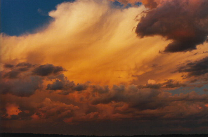 mammatus mammatus_cloud : Schofields, NSW   14 March 1999