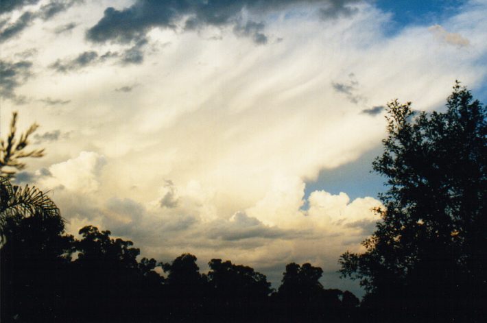 anvil thunderstorm_anvils : Oakhurst, NSW   14 March 1999