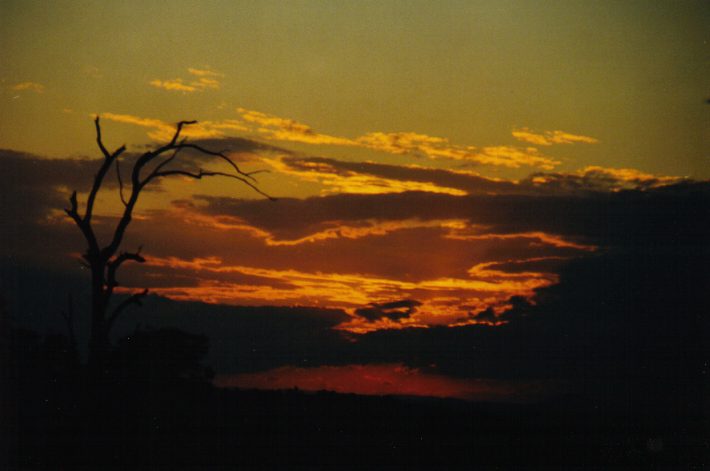 sunset sunset_pictures : McLeans Ridges, NSW   10 September 1999