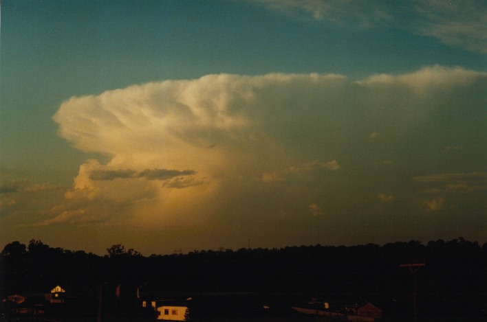 anvil thunderstorm_anvils : Schofields, NSW   22 September 1999