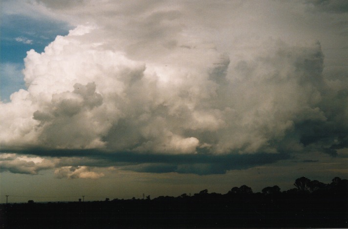 thunderstorm cumulonimbus_calvus : Richmond, NSW   1 October 1999