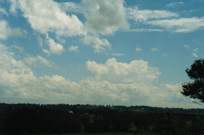 cumulus humilis : Wyrallah, NSW   24 October 1999