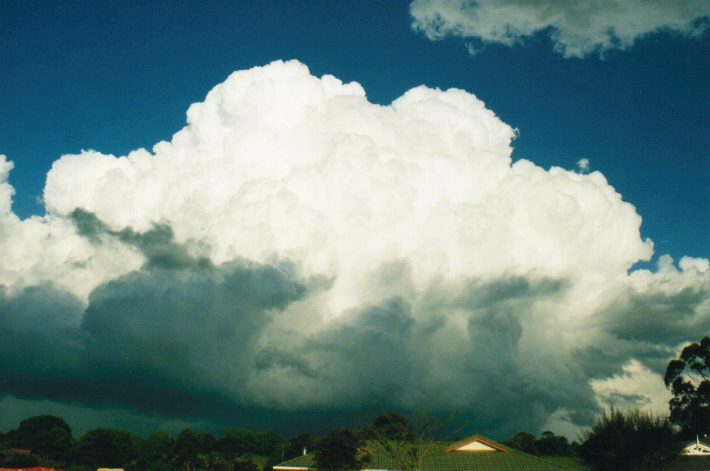 thunderstorm cumulonimbus_calvus : Wollongbar, NSW   24 October 1999
