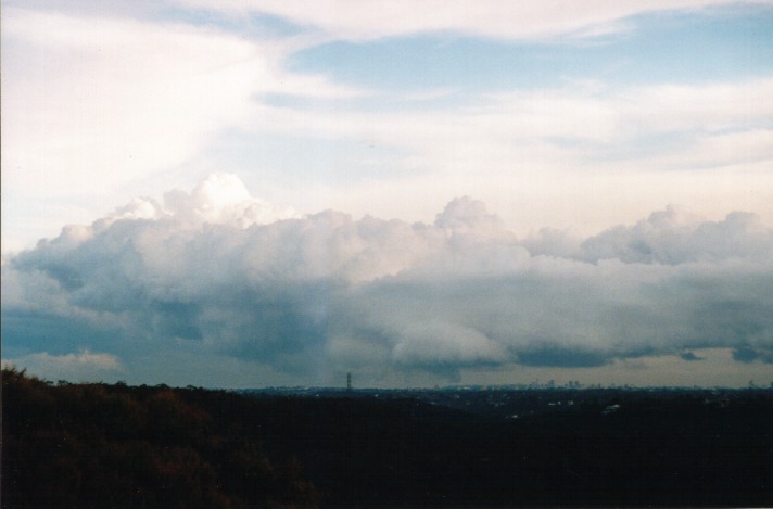 thunderstorm cumulonimbus_calvus : St Ives, NSW   31 October 1999