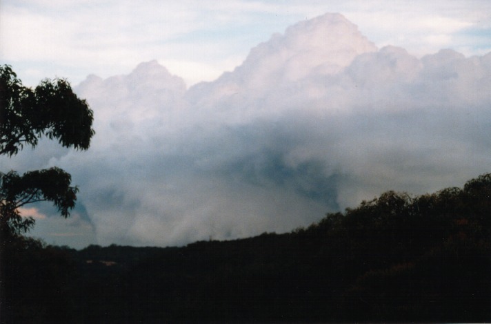 altostratus altostratus_cloud : St Ives, NSW   31 October 1999