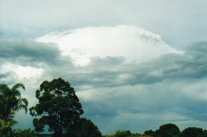 thunderstorm cumulonimbus_calvus : Wollongbar, NSW   7 November 1999