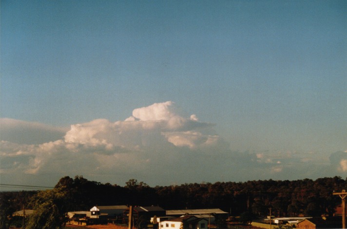 thunderstorm cumulonimbus_calvus : Schofields, NSW   11 November 1999