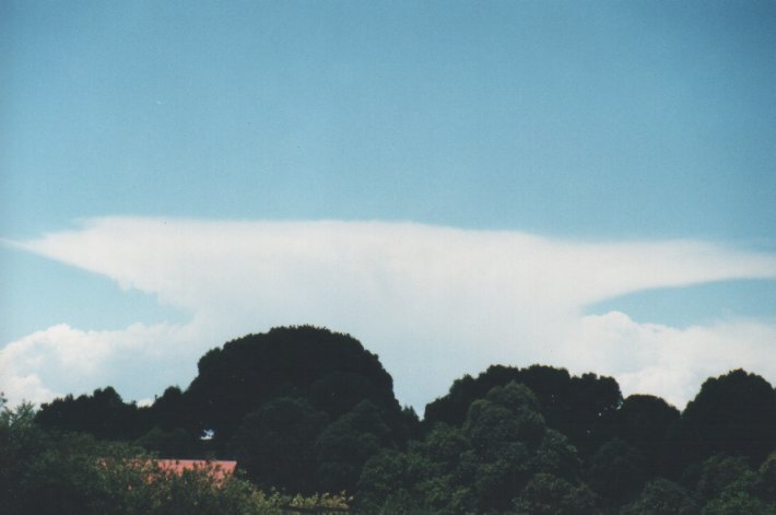 anvil thunderstorm_anvils : Wollongbar, NSW   12 November 1999