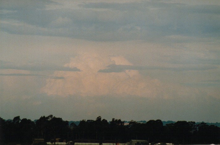 thunderstorm cumulonimbus_calvus : Schofields, NSW   15 November 1999