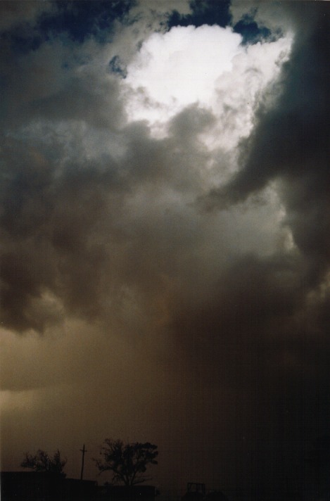 thunderstorm cumulonimbus_calvus : N of Hornsby, NSW   16 November 1999