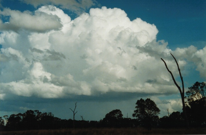 thunderstorm cumulonimbus_calvus : E of Morven, Qld   21 November 1999