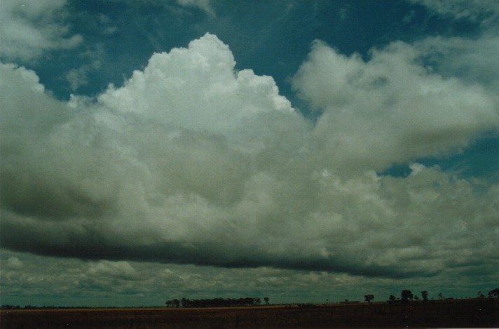 thunderstorm cumulonimbus_calvus : N of Dalby, Qld   23 November 1999