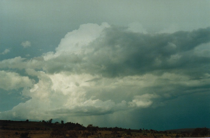 thunderstorm cumulonimbus_calvus : Preston, Qld   23 November 1999