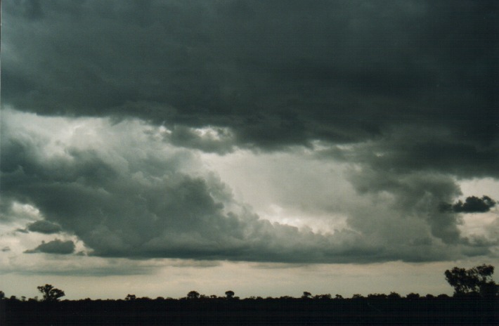 thunderstorm cumulonimbus_calvus : S of Barringun, NSW   27 November 1999