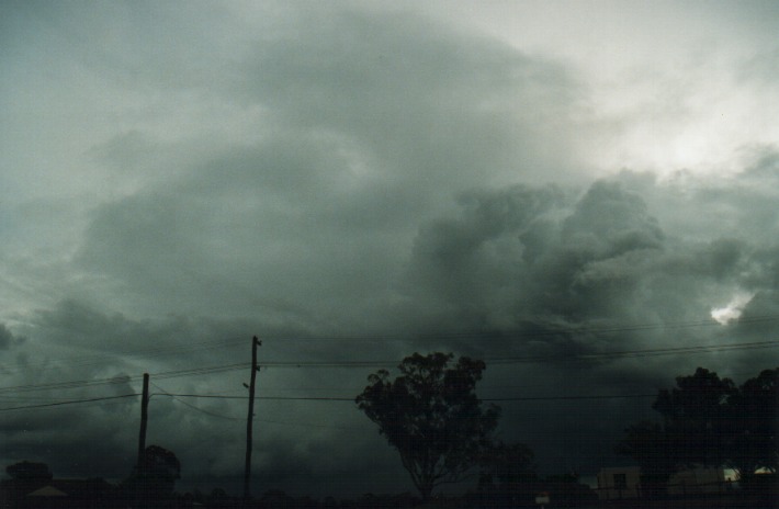 thunderstorm cumulonimbus_calvus : Schofields, NSW   24 December 1999