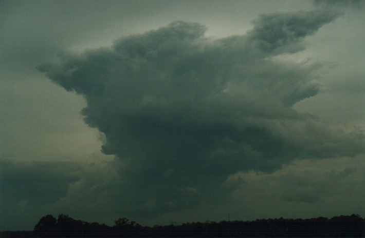 thunderstorm cumulonimbus_calvus : Schofields, NSW   27 December 1999