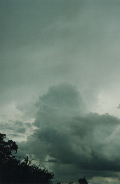 thunderstorm cumulonimbus_calvus : Riverstone, NSW   28 December 1999