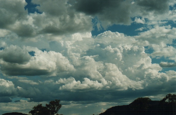 thunderstorm cumulonimbus_calvus : W of Denman, NSW   30 December 1999