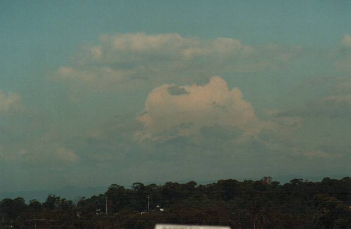 thunderstorm cumulonimbus_calvus : Rooty Hill, NSW   4 January 2000