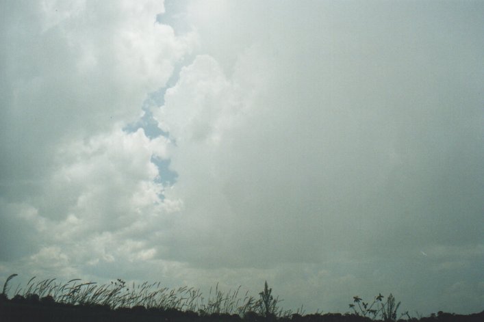 raincascade precipitation_cascade : Tuckarimba, NSW   5 January 2000
