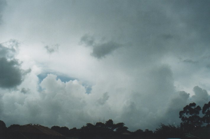 thunderstorm cumulonimbus_calvus : Wollongbar, NSW   12 January 2000