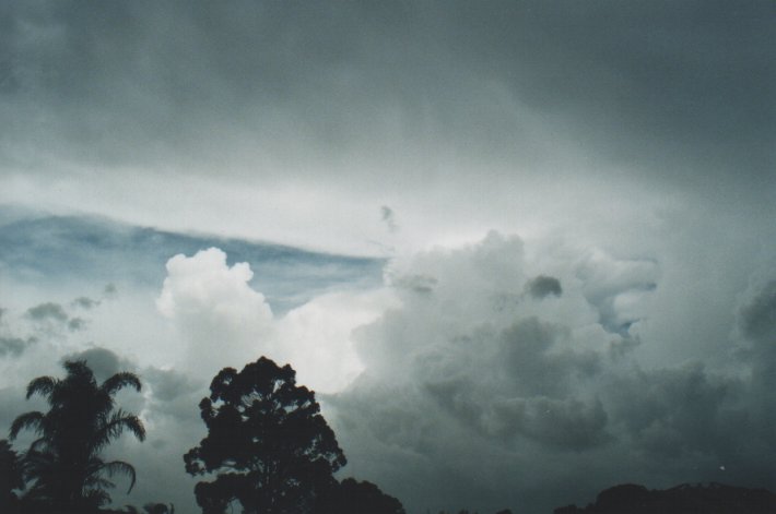 anvil thunderstorm_anvils : Wollongbar, NSW   12 January 2000