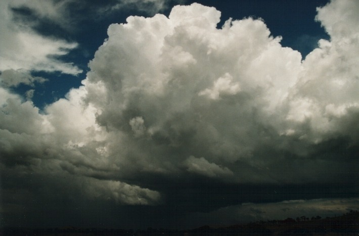 thunderstorm cumulonimbus_calvus : Ben Lomond Range, NSW   17 January 2000