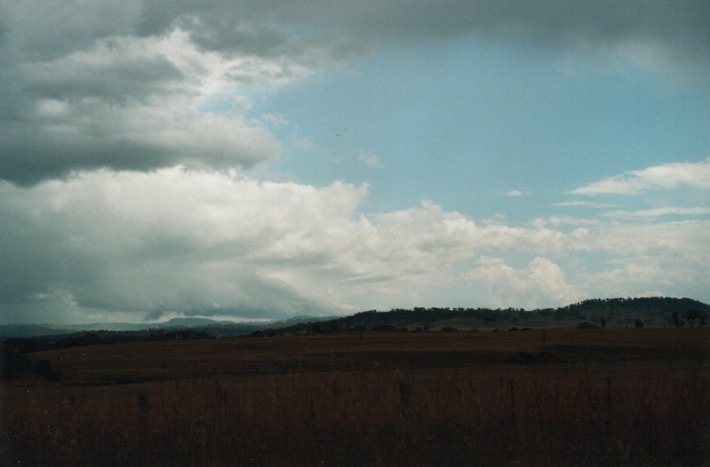 thunderstorm cumulonimbus_calvus : Glen Innes, NSW   17 January 2000