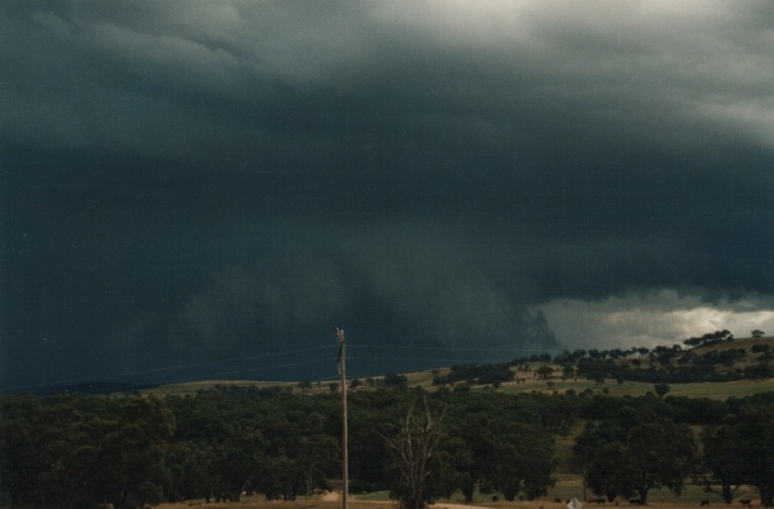 cumulonimbus thunderstorm_base : 30km W of Glen Innes, NSW   17 January 2000