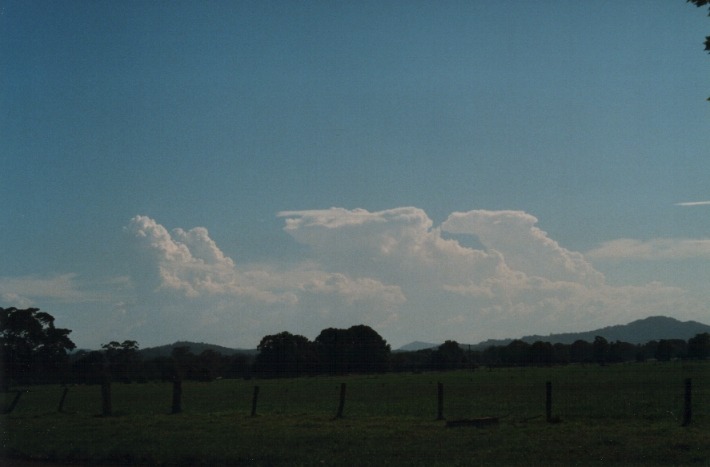 thunderstorm cumulonimbus_calvus : Urunga, NSW   19 January 2000