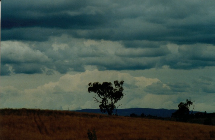thunderstorm cumulonimbus_calvus : Bathurst, NSW   27 January 2000