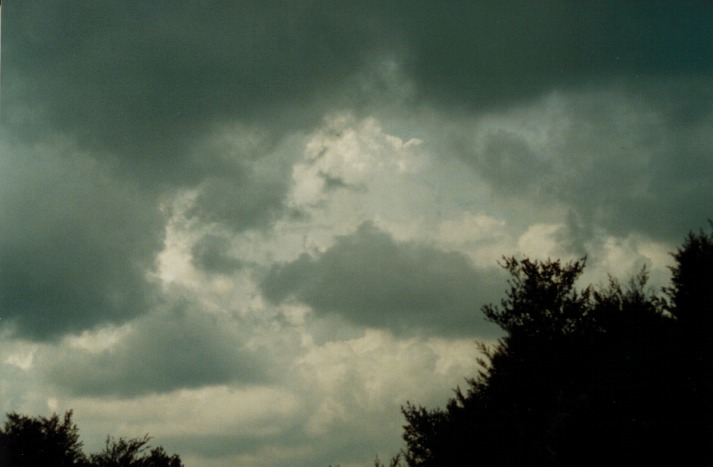 thunderstorm cumulonimbus_calvus : Lithgow, NSW   5 March 2000