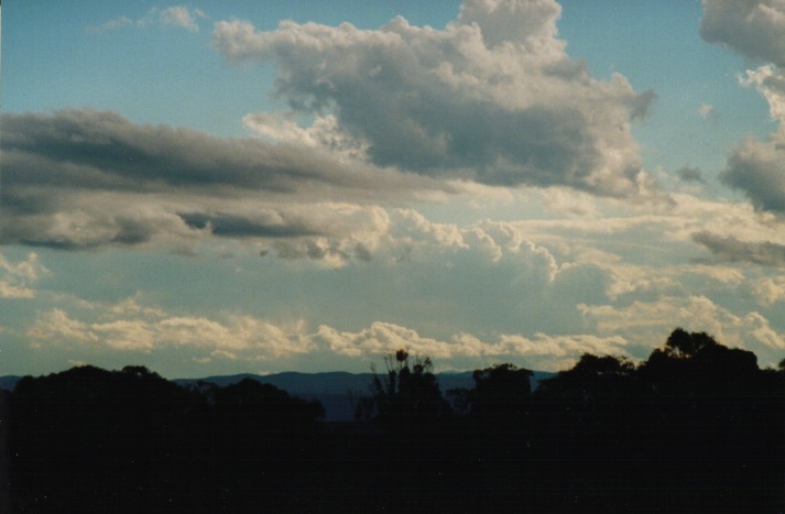 thunderstorm cumulonimbus_calvus : Schofields, NSW   9 March 2000