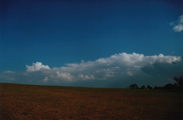 thunderstorm cumulonimbus_calvus : Rooty Hill, NSW   14 March 2000