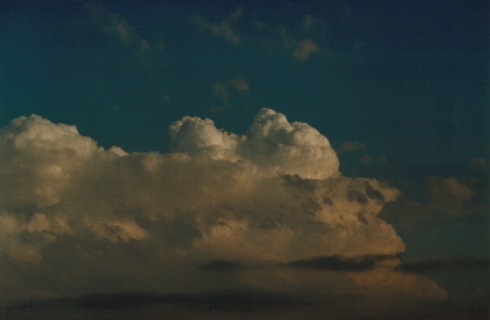 thunderstorm cumulonimbus_calvus : Schofields, NSW   14 March 2000