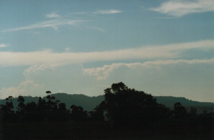 thunderstorm cumulonimbus_calvus : Denman, NSW   19 March 2000