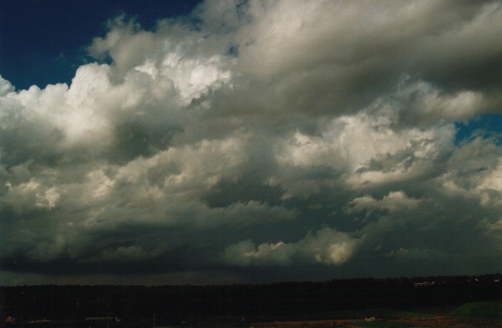 thunderstorm cumulonimbus_calvus : Schofields, NSW   5 April 2000