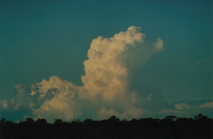 cumulus congestus : Schofields, NSW   15 April 2000