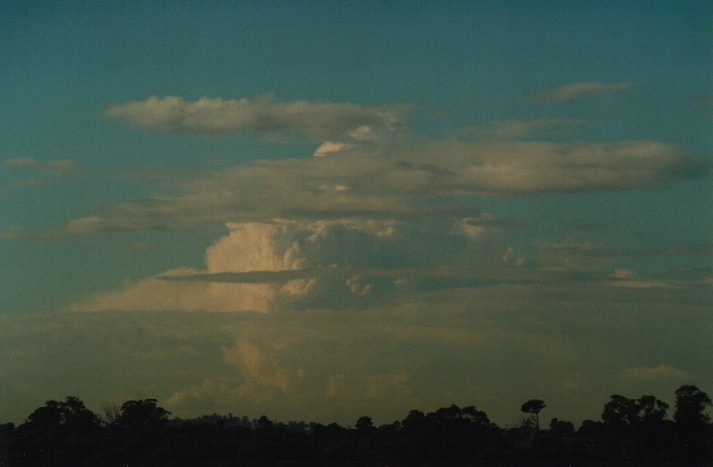 thunderstorm cumulonimbus_calvus : Schofields, NSW   19 April 2000