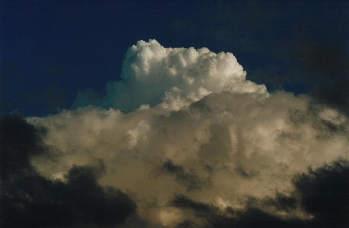 thunderstorm cumulonimbus_calvus : Schofields, NSW   19 April 2000