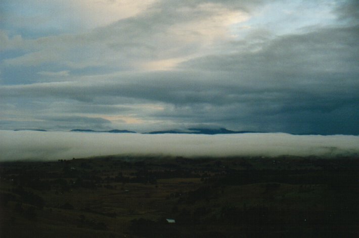 fogmist fog_mist_frost : McLeans Ridges, NSW   19 June 2000