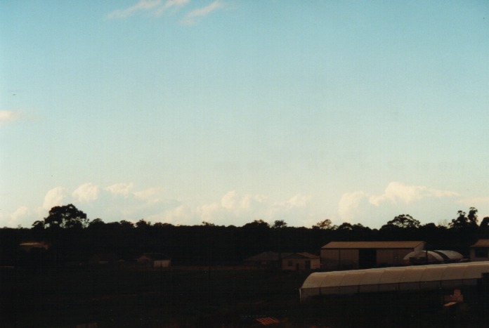 thunderstorm cumulonimbus_calvus : Schofields, NSW   29 June 2000