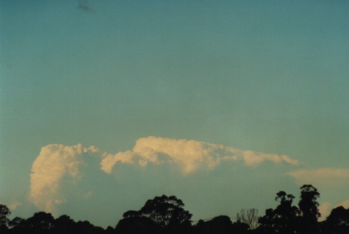thunderstorm cumulonimbus_calvus : Schofields, NSW   29 June 2000