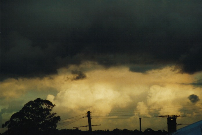 thunderstorm cumulonimbus_calvus : Schofields, NSW   3 July 2000