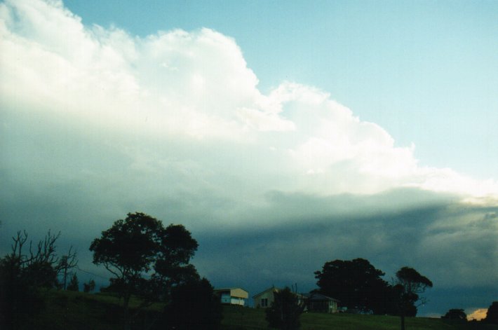 thunderstorm cumulonimbus_calvus : McLeans Ridges, NSW   9 July 2000